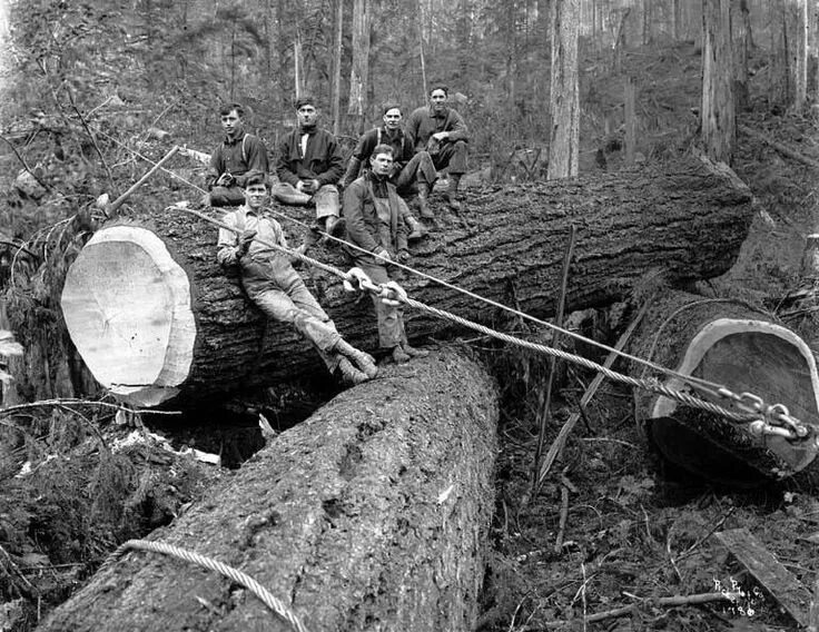 Logging persistent