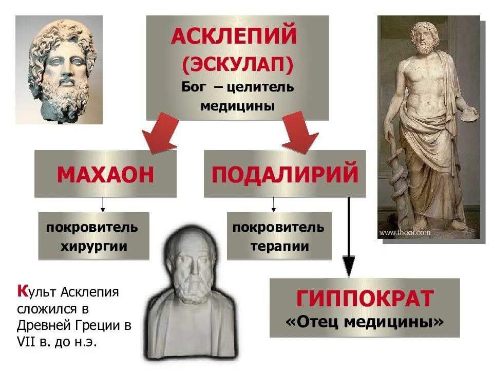 Асклепий бог древней греции. Эскулап римский бог врачевания. Асклепий бог древней греции. Асклепий бог медицины. Эскулап божество древней греции.