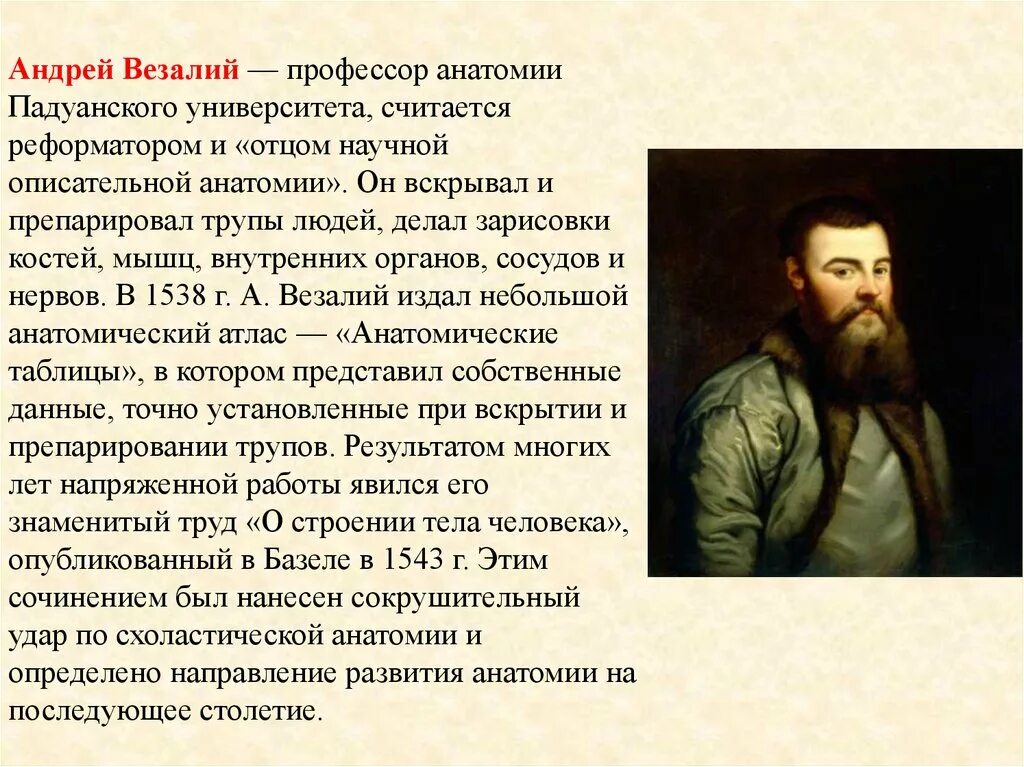 Основоположник современной научной анатомии. Везалий заслуги. Андреас Везалий достижения в медицине. Везалий достижения в анатомии.