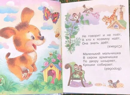 Мишкины загадки
