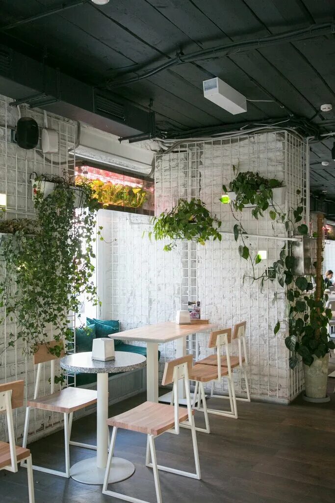 фудкорт парник кузнецкий мост. бар парник. кузнецкий мост фудкорт. кузнецкий мост фудкорт. бар парник.