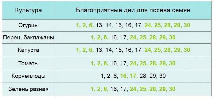 Стрижка в декабре 2023 благоприятные