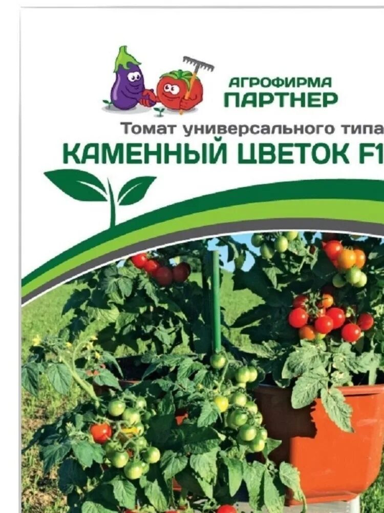 Томат сорт каменный цветок. Томат каменный цветок f1. томат каменный цветок f1 партнер. помидоры черри каменный цветок. томат каменный цветок партнер.