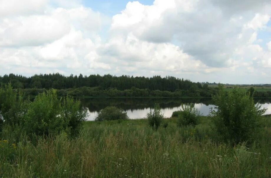 Савино новгородская область. Савино Новгородский район. Поселок Савино Новгородской области. Новгородская область, район Новгородский, деревня Савино. ЗАО Савино Новгородская область.