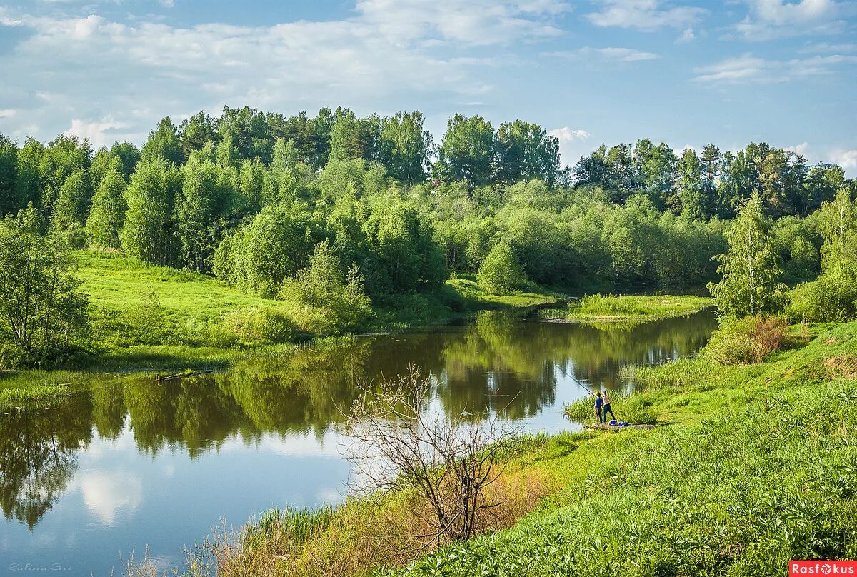 Речка покша. Река Покша Кострома. Река Покша Костромская область. Кострома природа Кострома. Кострома природа реки.