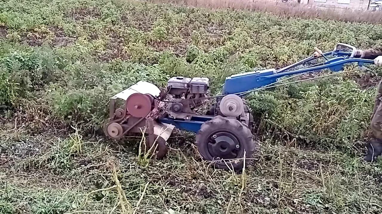 Скосить ботву