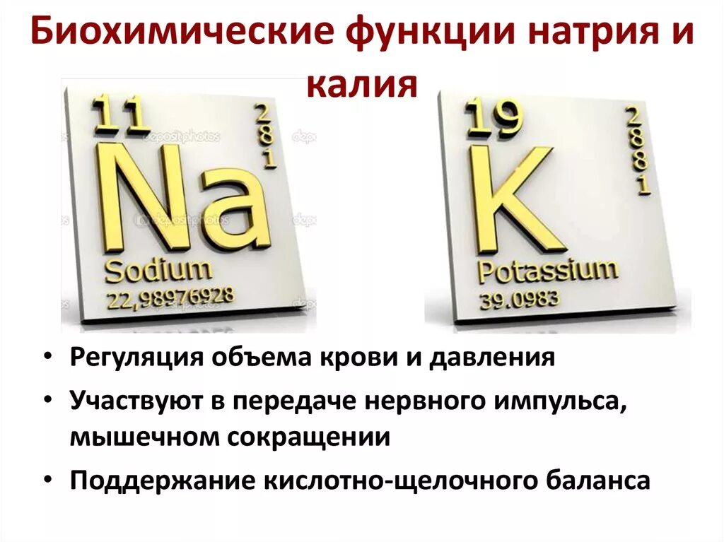 Чем отличается калий. Натрий и калий. Калий и натрий в организме. Натрий и калий роль в организме человека. Роль натрия в организме человека.