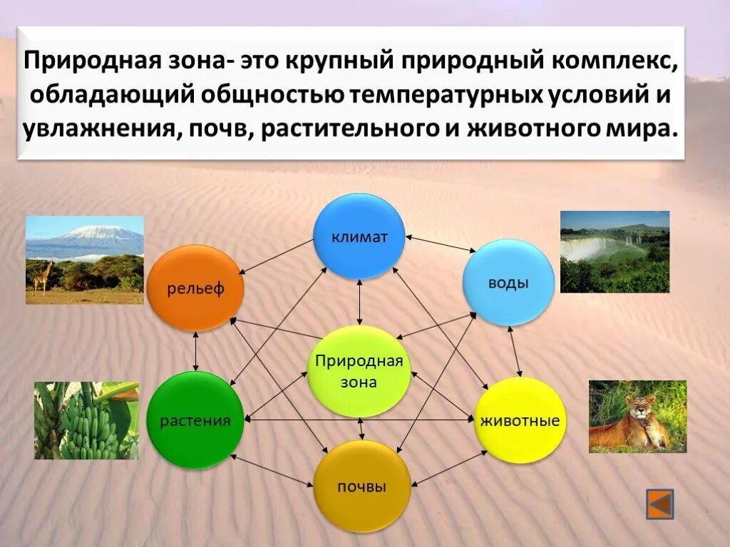 Порядок природных комплексов начиная с самого большого. Схема природного комплекса. Взаимосвязь компонентов природы. Компонент природного комплекса. Крупный природный комплекс обладающий общностью температурных.