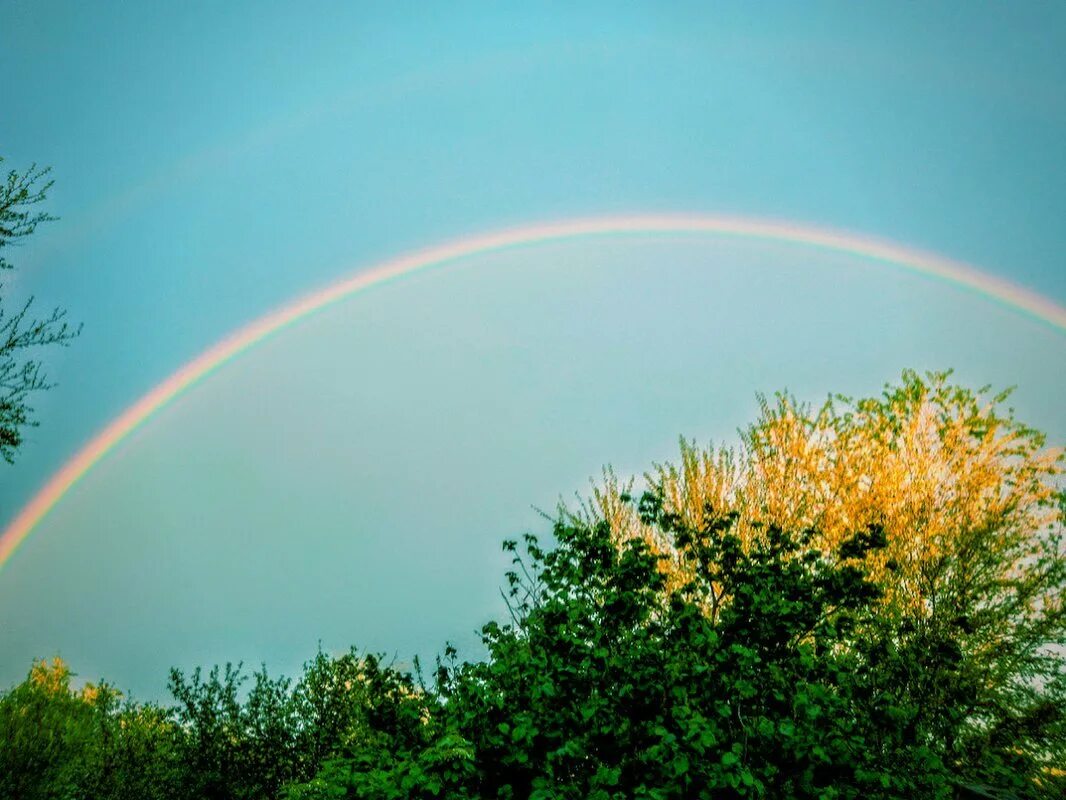Желтая радуга. Радуга. Желтая радуга. Радуга природа весна. Желтая радуга.