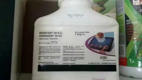 Индиго карачар препараты