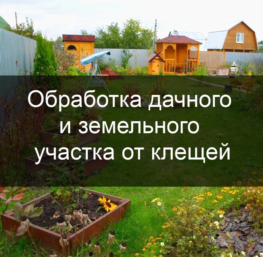 Обработка дачного участка от клещей. Обработаем участок от клещей. Обработка территории от клещей. Обработка участков от клеща. Обработать садовый участок от клещей.