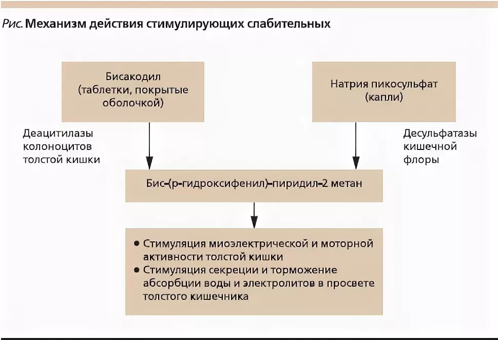 Механизм действия слабительных средств фармакология. Слабительные средства механизм действия фармакология. Бисакодил механизм действия фармакология. Синтетические слабительные средства механизм действия.