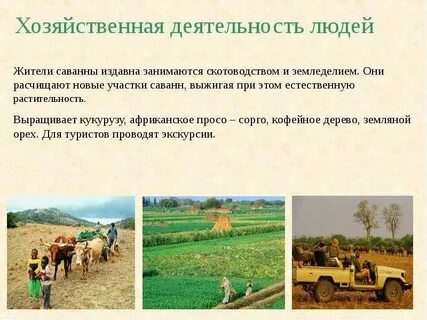 Общая хозяйственная деятельность это