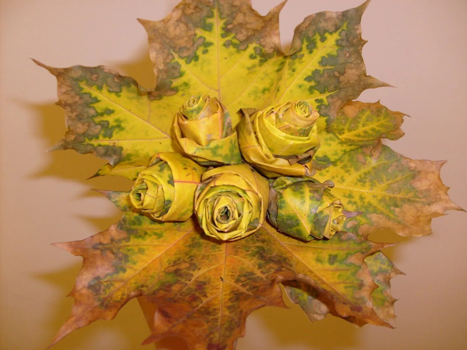 Долма в свекольных листьях. Что можно приготовить из листьев. Что можно приготовить из листьев. Осенние листики в глицерине. Осенний гербарий для детского сада.