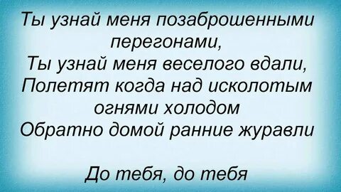 Текст песни джанго