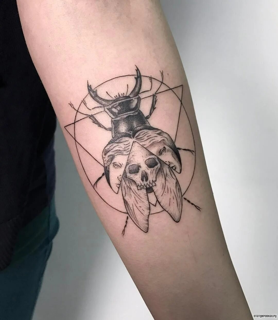 Тату жук. Жук навозник тату. Тату жук. Татуировка жук скарабей. Тату жуков.