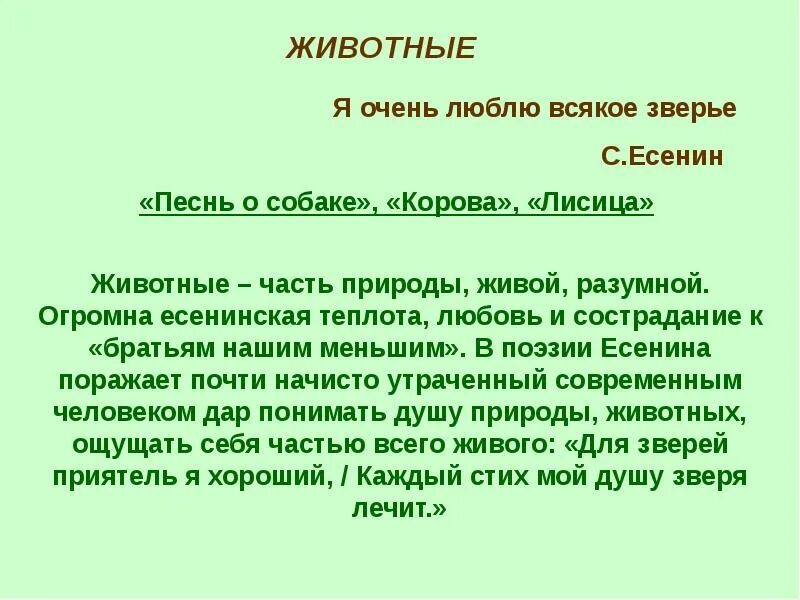 Стих есенина корова. Тема животные Есенин. Стихи Есенина о животных. Любовь Есенина к животным.