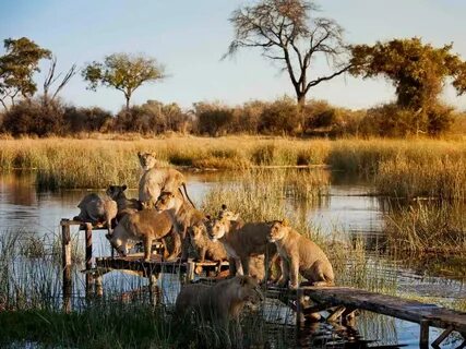 Botswana