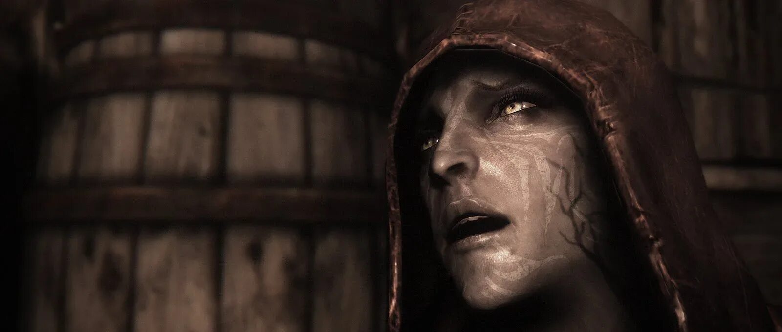 скайрим моды шрамы на лице. Skyrim black face fix. Skyrim черные лица. серана вайфу. Skyrim черные лица.