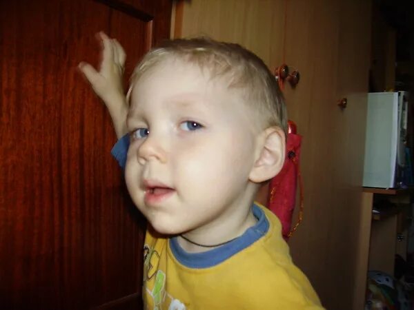 За уши не оттащишь. За уши не оттащишь. Ослиные уши. Картинки притягивать за уши. Порода кошек с грустными глазами.