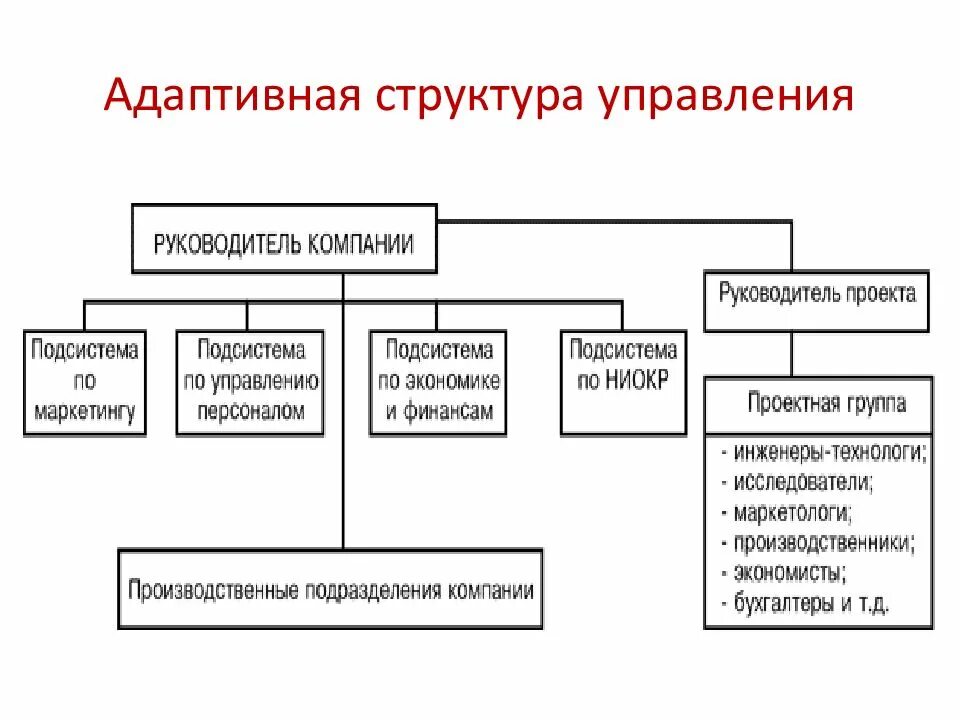 Какому виду организационной структуры. Адаптивная организационная структура схема. Адаптивные организационные структуры управления проектная. Адаптивный Тип организационной структуры. Адаптивные организационные структуры виды.