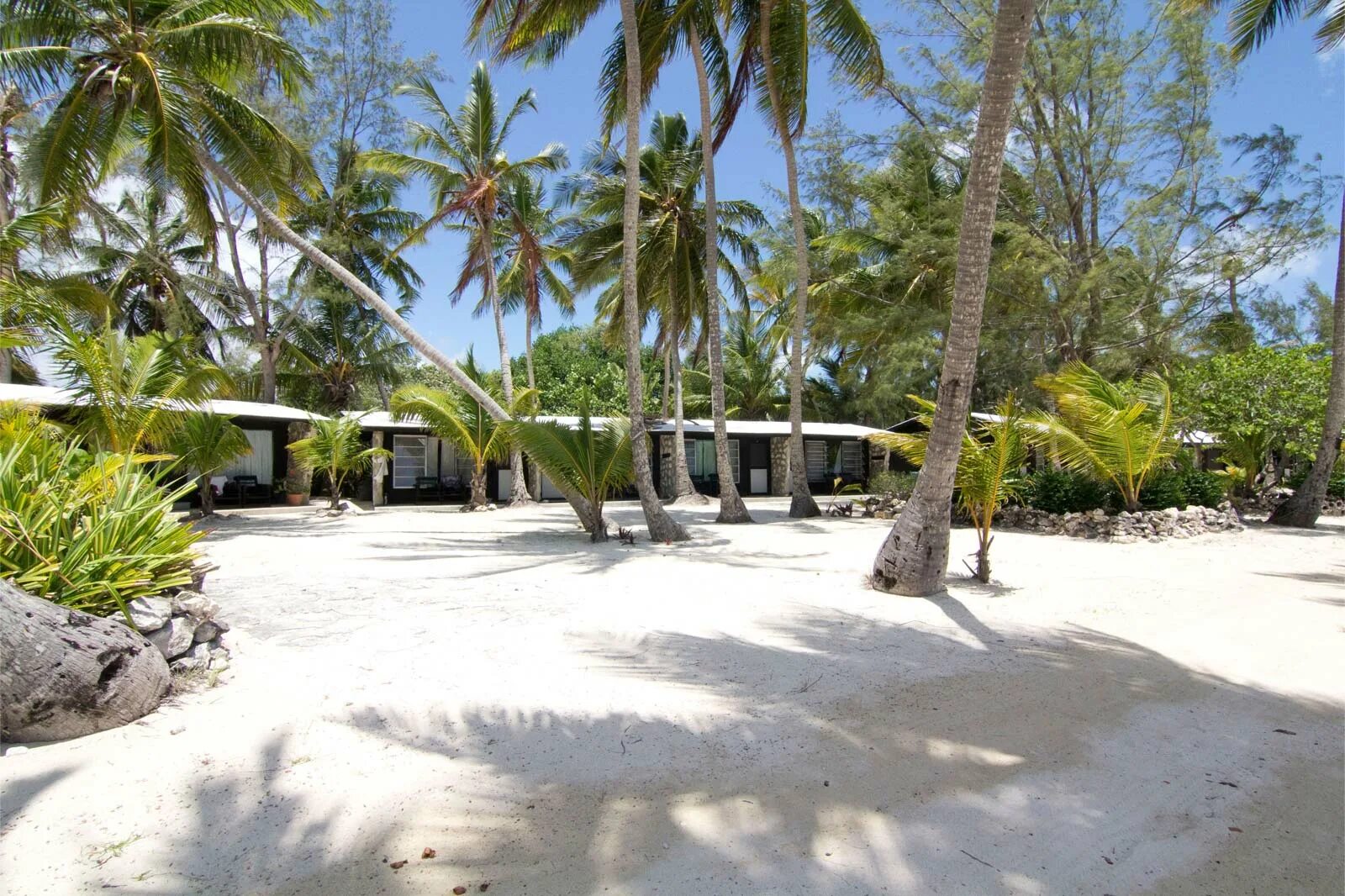 Отель брайана на багамах. Small hope. Андрос багамы отели. Андрос (остров, багамы). Андрос багамы.