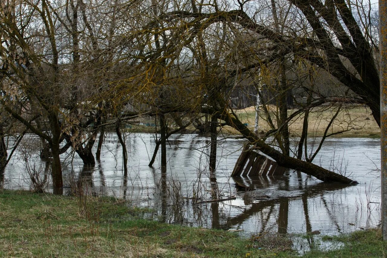 Уровень воды в жиздре козельск сегодня. Разлив реки Жиздра в Козельске. Разлив воды в Козельске. Подъем воды в Жиздре в Козельске. Жиздра разлив в монастыре.