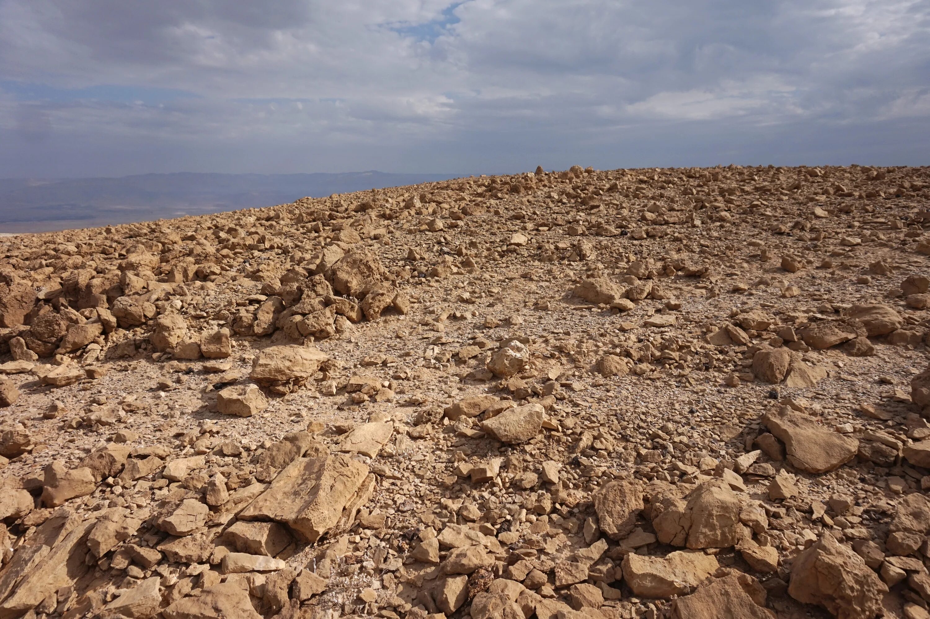 Ground stone. Каменистый каменистые пустыни. Каменистая пустыня в Израиле. Песчано-галечные пустыни. Песчано каменистая пустыня.
