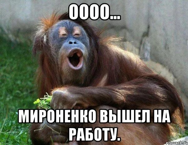 Мем оооо. Картинка оооо. оооо мем. умора мем. ггггггггггггг оооо.