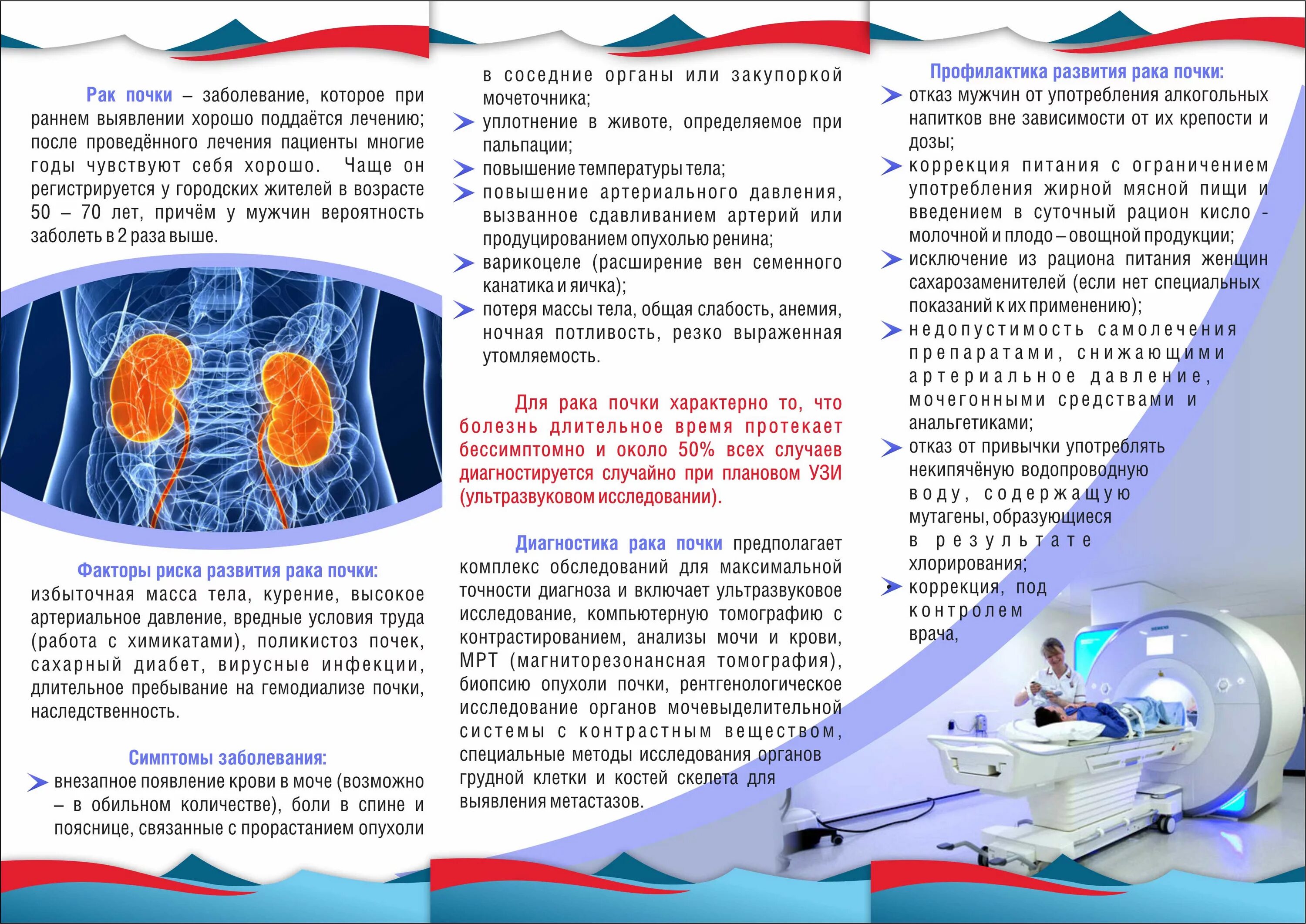 Профилактика мочекаменной болезни брошюра. Буклет профилактика болезней почек. Профилактика мочекаменной болезни буклет. Буклет на тему заболевания почек. Рак почки рекомендации