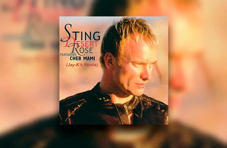 По стингу текст. Sting Desert Rose альбом. Sting Desert Rose обложка. Sting в пустыне.