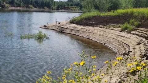 Полого займище