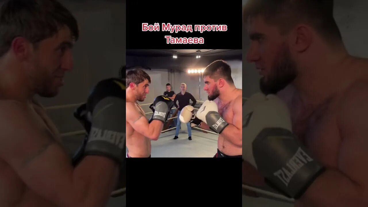 Мерседес ахмеда с бехой тамаева после гонки. Гонка тамаева и ахмеда полное видео. Венгалби гонка с тамаевым ахмед без морды. Фото цлс ахмеда венгалби с гонки против тамаева. 06.