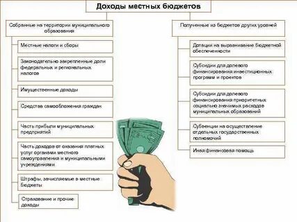 Источник доходов местного бюджета