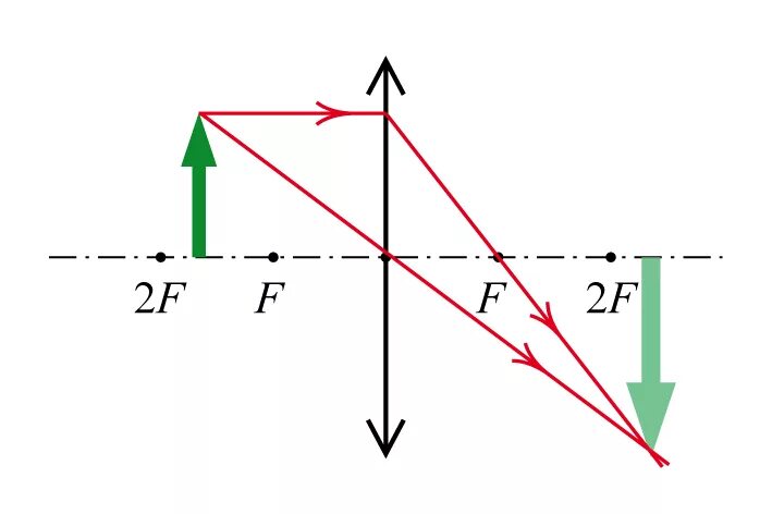 С помощью тонкой собирающей линзы ученик хочет. Построение изображения в тонкой линзе физика. F=F линза собирающая. Физика d 2f рассеивающая линза. Построение изображения в собирающей линзе.