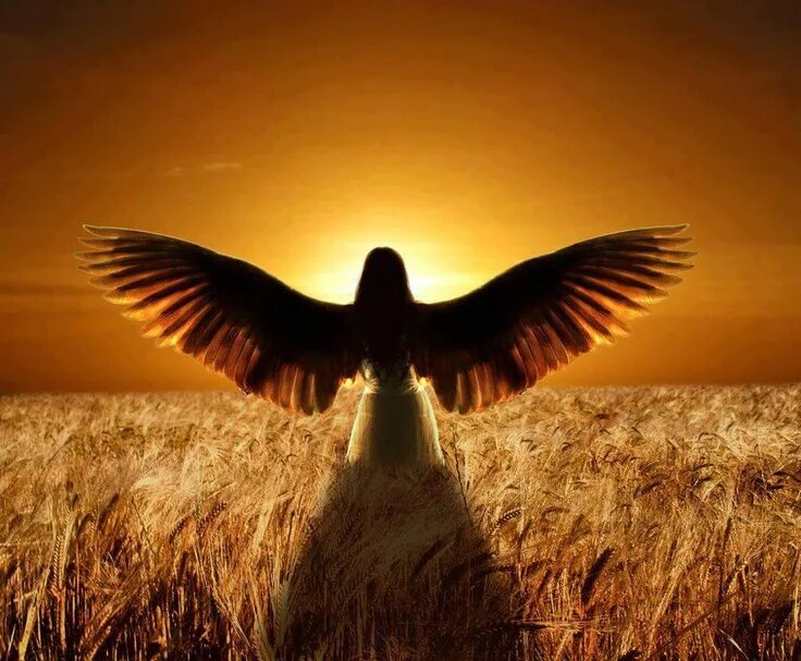 Встанем shaman встанем. Шаман певец 2022. Shaman ярослав дронов. Pathfinder wrath of the righteous ангел. Шаман песни.