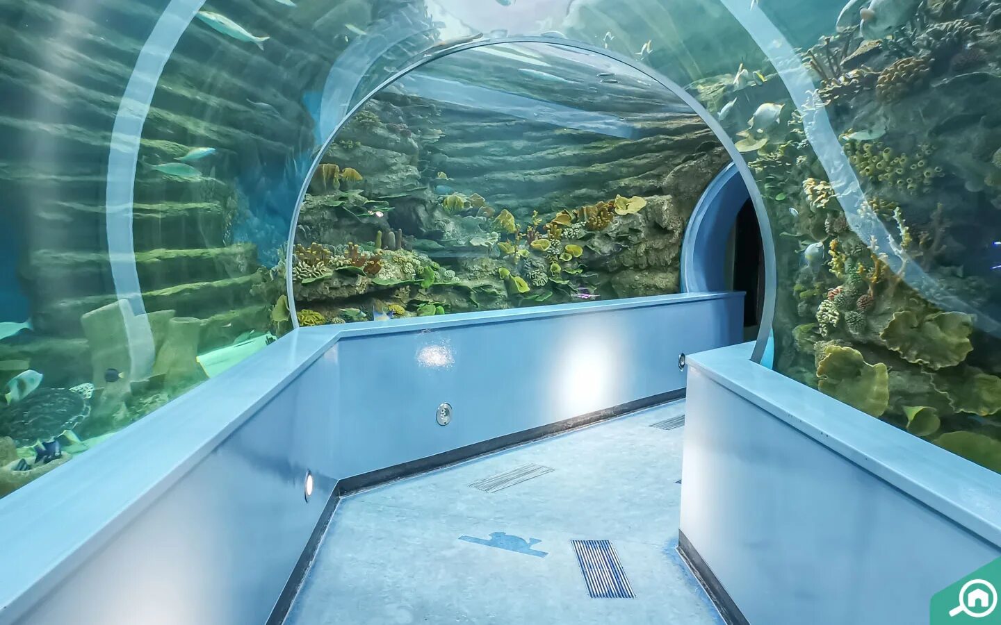Океанариум шарджа. Аквариум sharjah. аквариум шарджа. aquarium inside.