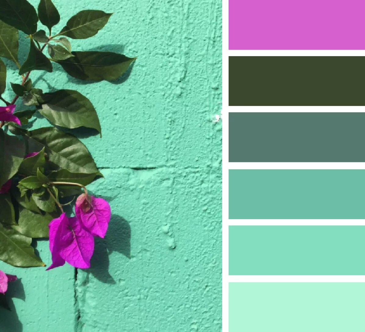 Выбрать цвета из изображения. Цветовая палитра изумруд и бордо. Seeds Color Palette фуксия. Яркие цветовые сочетания. Сочетание ярких цветов.