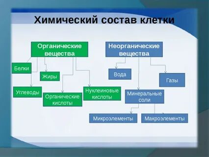 Особый химический состав кратко