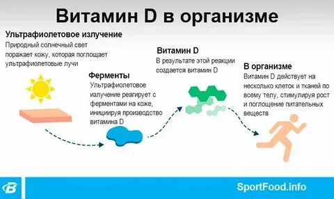 Витамин д3 роль