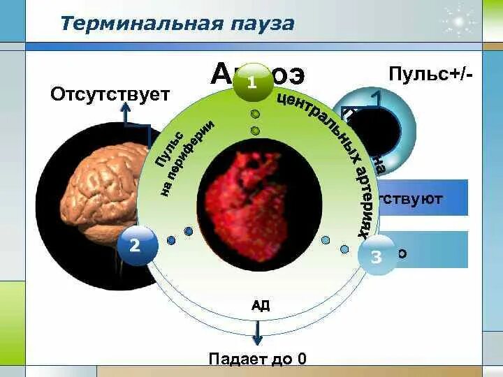 Терминальная пауза продолжается. Терминальная пауза.