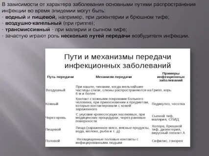Пути передачи брюшного тифа