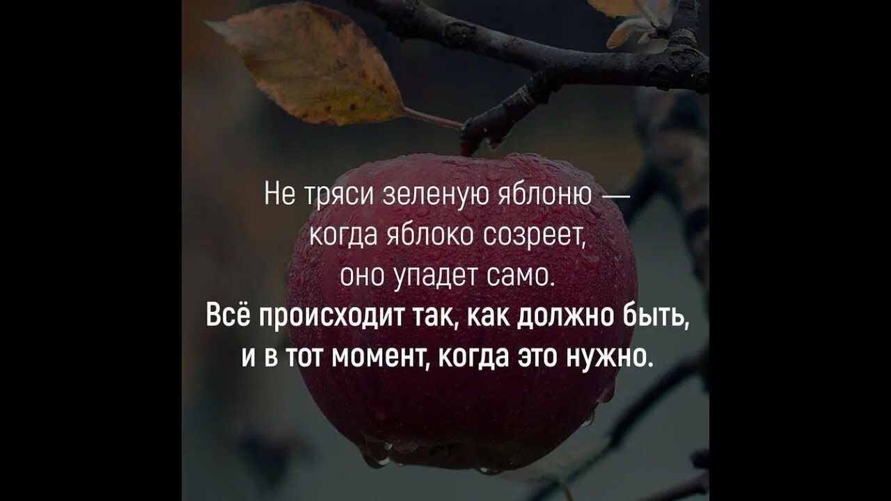 Руки женщины должны дрожать от цветов. Не тряси зеленую яблоню. Демотиваторы 2022 смешные. Я думаю прикол. Оптическая иллюзия потряси головой.