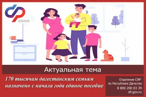 Льготы мфц выплаты всем 2024