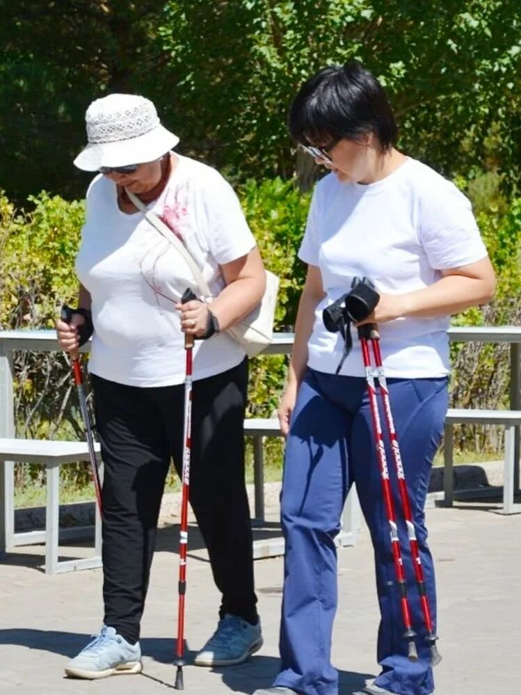 Северная ходьба с палками. Палки для скандинавской ходьбы. Скандинавская ходьба с палками техника ходьбы. Ходьба видео. Финская ходьба с палками.