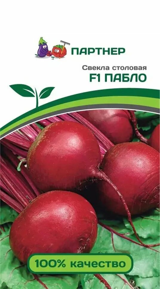 Свекла пабло голландские семена. Свекла столовая пабло f1. Свекла столовая. Свекла пабло гавриш. Семена свекла "пабло" f1,1 гр.