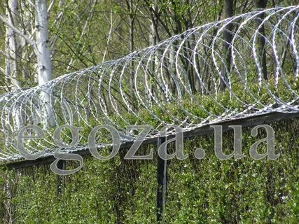 Егоза дьяченко