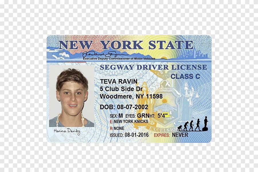 Licensing new. New York Driver License.