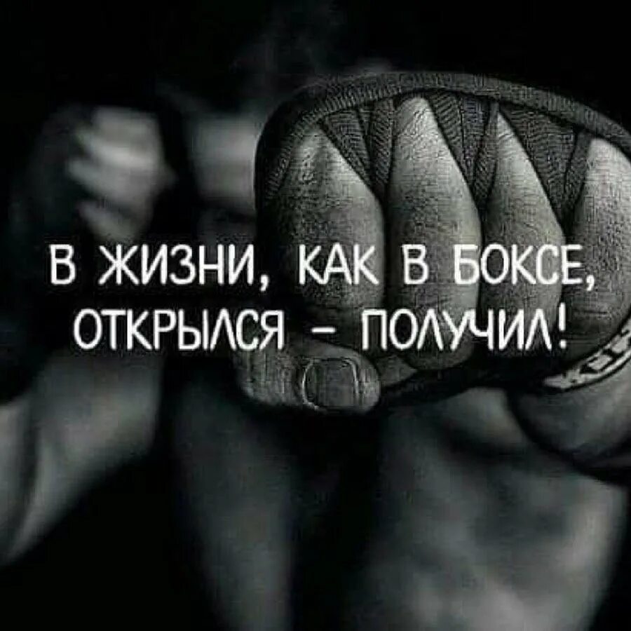 Аватарки со статусом. Фразы про бокс. в жизни как в боксе открылся получил. аватарки со смыслом. цитаты про бокс.