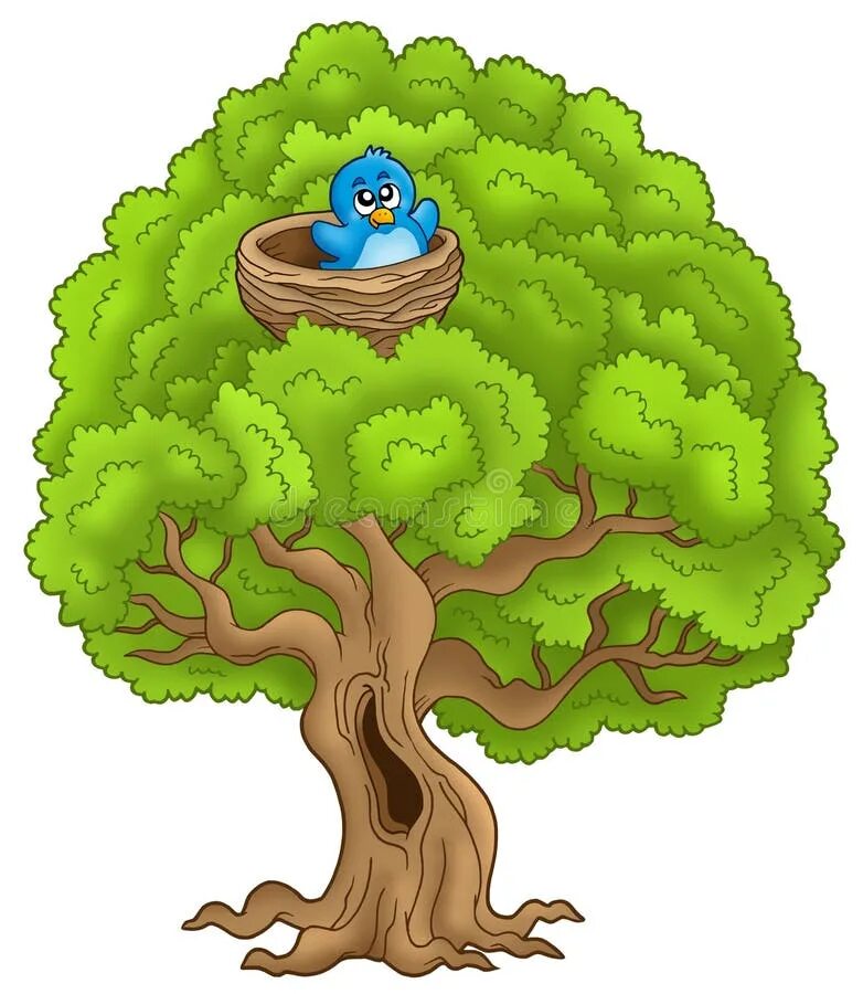 It is a tree